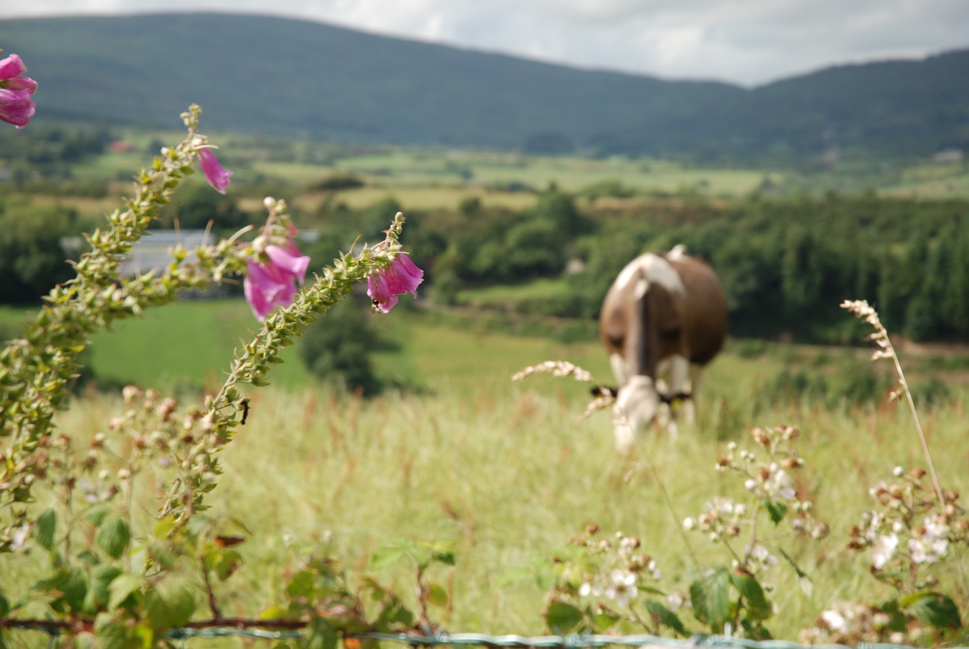 Environmental and Quality Farm