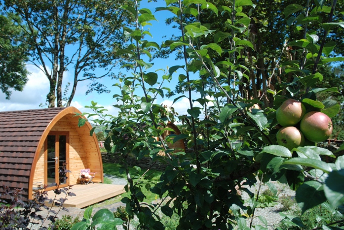 Orchard Luxury Pod